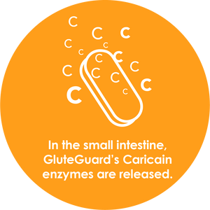 GluteGuard 10 Tablet Blister Pack