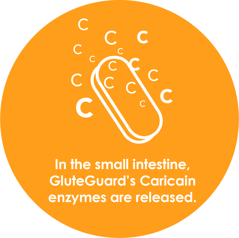 GluteGuard 30 Tablet Blister Pack