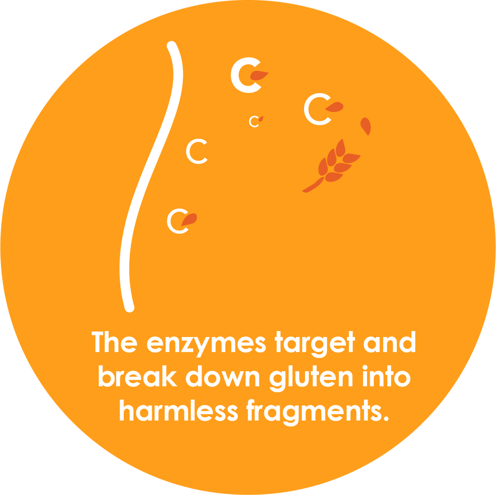 GluteGuard 10 Tablet Blister Pack