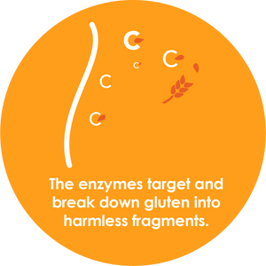 GluteGuard 10 Tablet Blister Pack