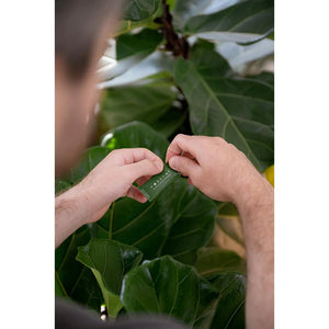 FODZYME® 30-Dose On-The-Go Kit