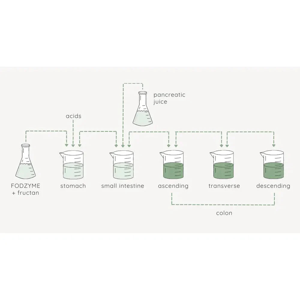 FODZYME® 30-Dose On-The-Go Kit