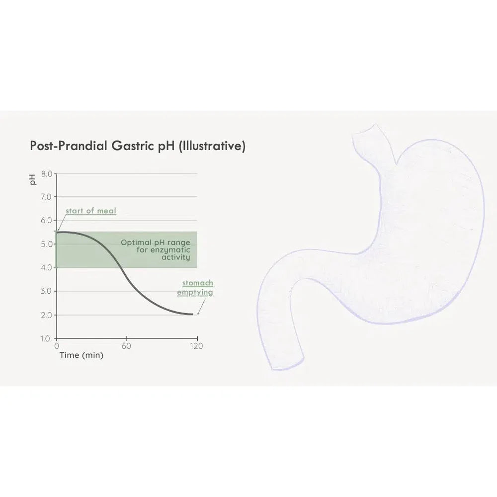 FODZYME® 5-Dose Starter Kit